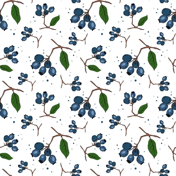 Seamless Pattern Branches Blueberries White Background Perfect Wallpaper Wrapping Paper — Stock Vector