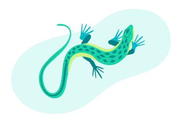 Mavi kertenkele vektör çizimi. Uzun gövdeli ve kuyruklu sürüngen, dört bacaklı ve mavi derili. Poster, kart, web sitesi için tasarım.