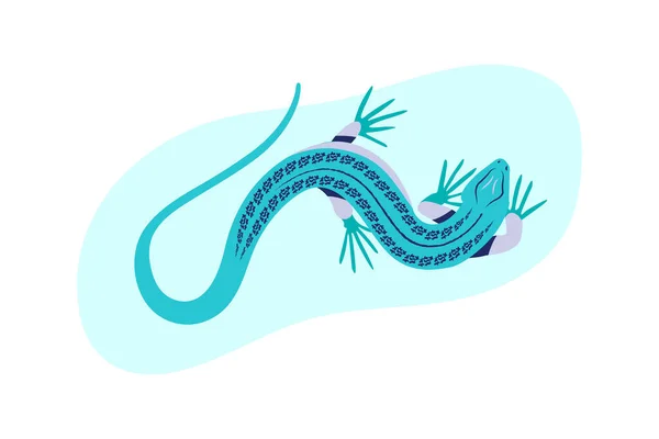 Blue lizard vector illustration. Reptile with long body and tail, four legs and blue skin. Design for poster, card, web site.