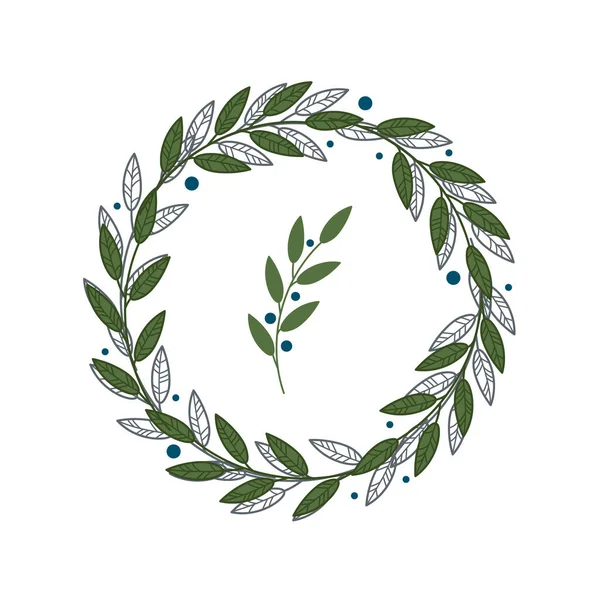 Векторный Иллюстрационный Венок Листьями Ягодами Круглая Рама Ботанических Элементов Цветочные — стоковый вектор