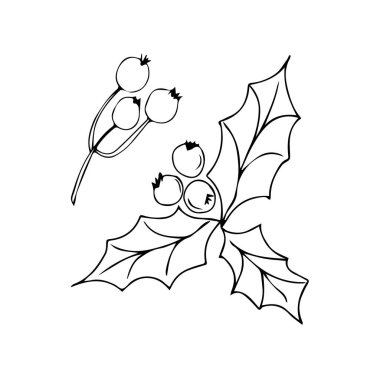 Böğürtlenli güzel çoban püskülü. Noel mevsimi bitkisi. Kış bayramı sembolü. Noel sembolü, tatlı kış karalamaları, boyama kitabı. Vektör illüstrasyonu beyaz arkaplanda izole edildi.