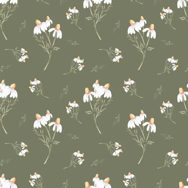 Aquarelle motif sans couture avec des fleurs de camomilles blanches. Impression botanique florale. Belle conception pour l'impression sur tissu, vêtements, literie, carte postale, affiche — Photo
