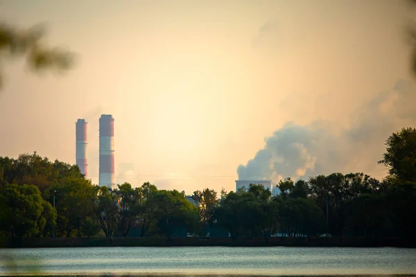 Photo d'arbres, rivière, tuyaux industriels avec fumée . — Photo