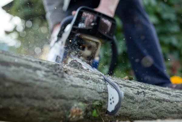 Foto de hombre con motosierra aserrando troncos en el bosque — Foto de Stock