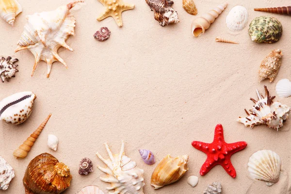 stock image Sea shells and starfish on sand.