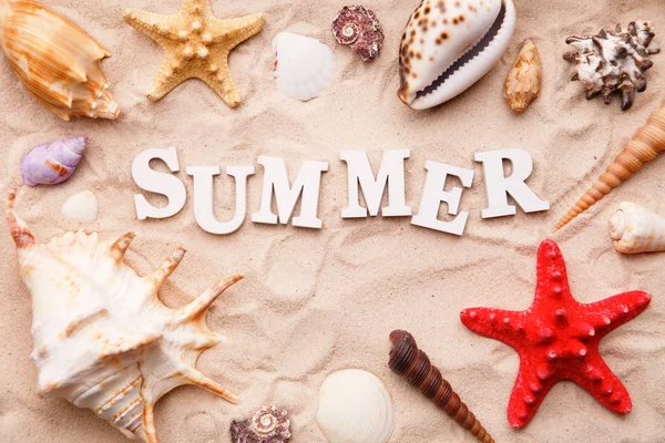 Text léto z bílých a mořských mušlí a hvězdných ryb na písku — Stock fotografie