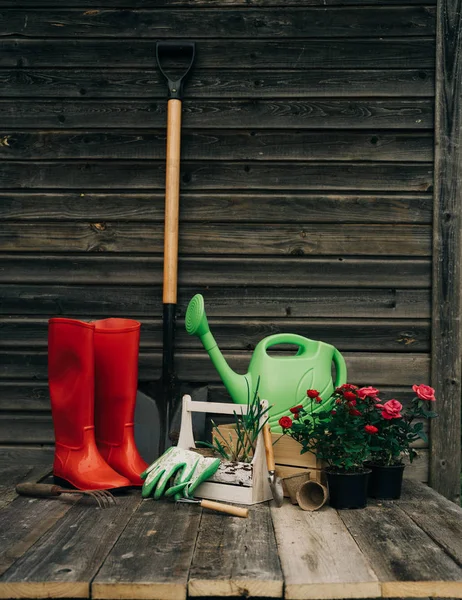 Shovel, watering can, hat, rubber boots, box of flowers, gloves and garden tools — Stock Photo, Image