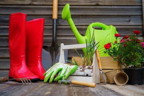 Pala, regadera, sombrero, botas de goma, caja de flores, guantes y herramientas de jardín — Foto de Stock