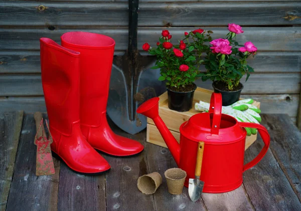 Shovel, watering can, hat, rubber boots, box of flowers, gloves and garden tools — Stock Photo, Image