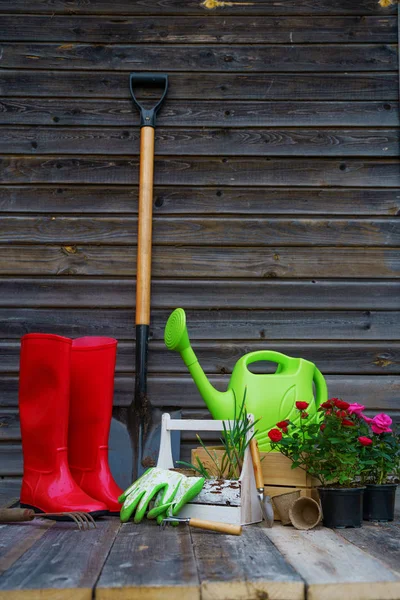 Pala, regadera, sombrero, botas de goma, caja de flores, guantes y herramientas de jardín — Foto de Stock