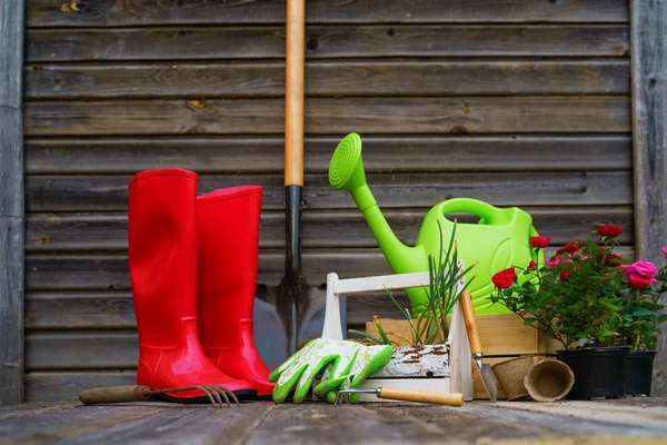 铲子、浇水罐、帽子、橡胶靴、花盒、手套和园艺工具 — 图库照片