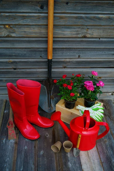 Pala, regadera, sombrero, botas de goma, caja de flores, guantes y herramientas de jardín — Foto de Stock