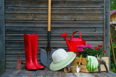 Kürek, sulama kutusu, şapka, lastik botlar, çiçek kutusu, eldiven ve bahçe aletleri