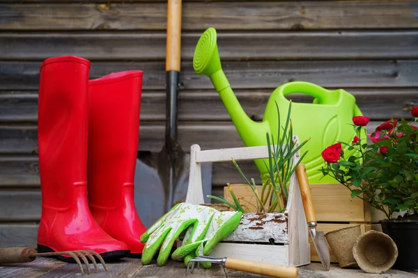 Shovel, watering can, hat, rubber boots, box of flowers, gloves and garden tools — Stock Photo, Image