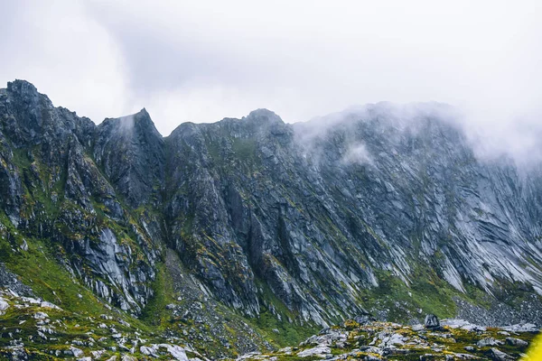 Fotografie malebných vysočin s vegetací, oblačno v Norsku v létě — Stock fotografie