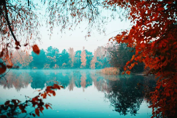 Photo des arbres d'automne et étang — Photo