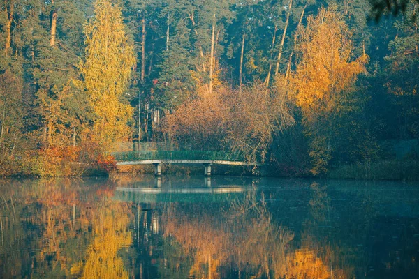 Sonbahar ağaçları ve gölet fotoğrafı — Stok fotoğraf