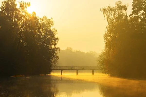 Homem está andando com cão através da ponte ao nascer do sol . — Fotografia de Stock