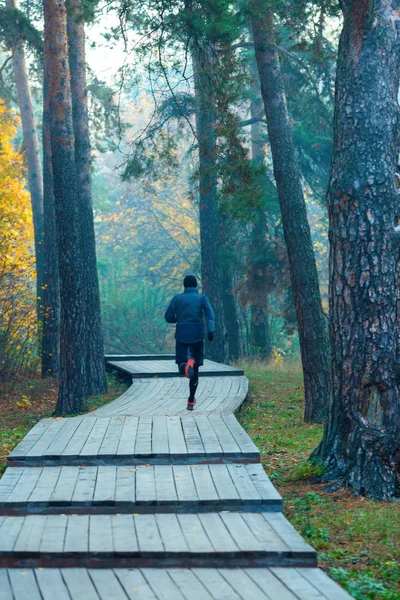 秋の公園で走るアスリートの男性の写真 . — ストック写真