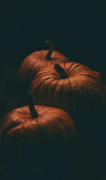 Foto de tres calabazas naranjas sobre fondo negro, celebración de Halloween . — Foto de Stock