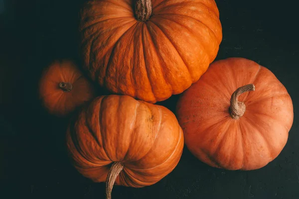 Obrázek ze čtyř oranžových dýně na černém pozadí, oslava Halloweenu. — Stock fotografie