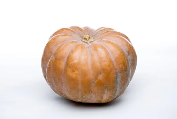 Zucca arancione su sfondo bianco isolato — Foto Stock