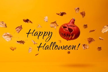 Stüdyoda boş turuncu arkaplanda balkabağı ve yazı.