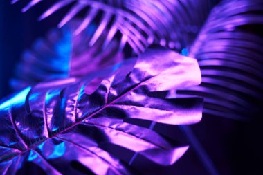 Yaratıcı tropik mor yapraklar düzeni.