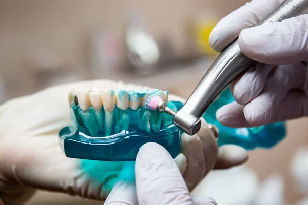 Dokter gigi menunjukkan cara memoles gigi dengan sikat gigi dan pasta gigi Stok Gambar Bebas Royalti