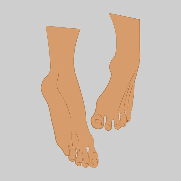 Vector Illustrations Pack Human Feet Various Gestures — Stock Vector