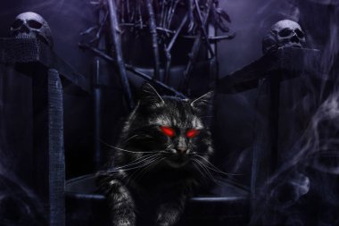 Cadı tahtında dallardan yapılmış kötü kedi..
