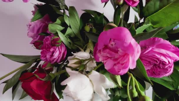 Beautiful Spring Bouquet Pink Peony Flowers Blossom Timelapse Close Flower — Stock Video