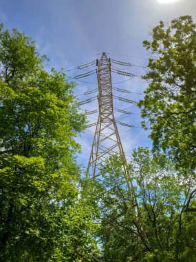 Güneş batarken yeşil ağaçların etrafındaki yüksek voltaj direği. yeşil enerji kavramı