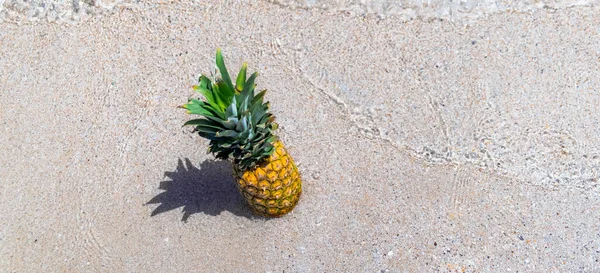 Kumsalda taze ananas. Deniz dalgalarında meyveler. Yaz tatili kavramı.