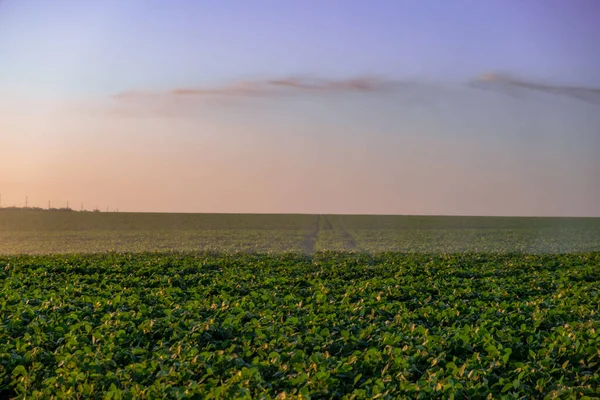 Center pivot crop irrigation or irrigating system for farm management