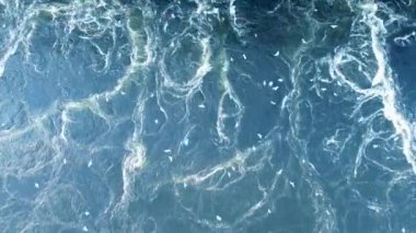 Güçlü bir girdap Dinyeper nehrinin yüzeyinde hidroelektrik santralinin bir türbininin hareketiyle oluşur. Martılar su girdabının üzerinde daireler çiziyor.