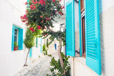 Yunanistan 'ın Paros adasında çiçekli geleneksel Yunan evi