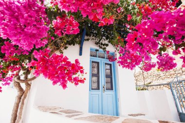 Yunanistan 'ın Paros adasında çiçekli geleneksel Yunan evi 