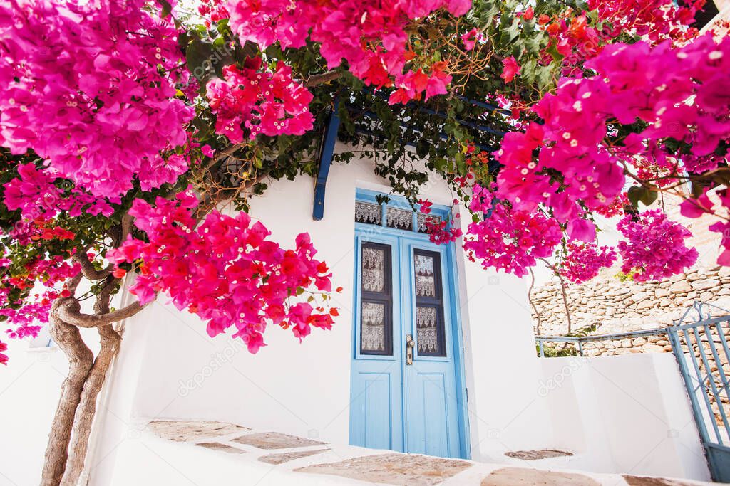 Traditional greek house with flowers in Paros island, Greece 