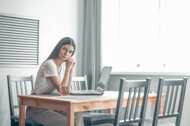 Işık odasında bilgisayarla çalışan bir kız. Modern iç mekanlarda sosyal ağda kadın sohbeti