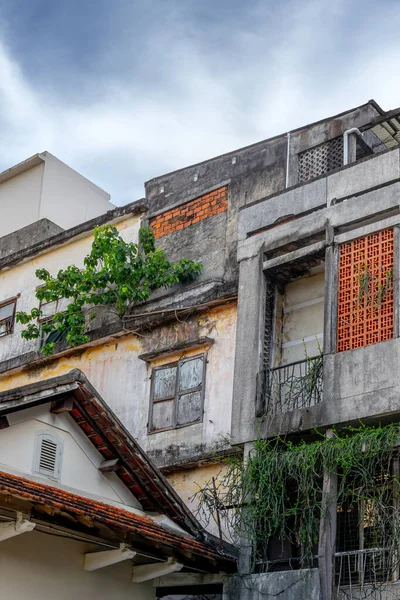 Yıpranmış şehir binası, aşırı gelişmiş yeşillik, açık şehir manzarası..