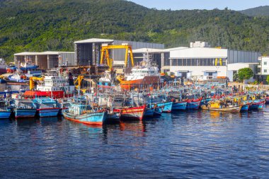 Renkli balıkçı tekneleri arka planda sanayi binaları bulunan hareketli bir limana yanaştılar..
