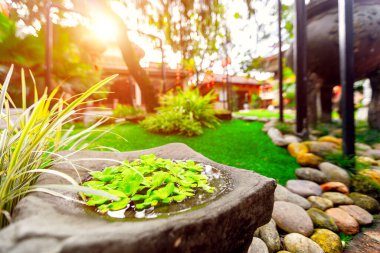 Serene outdoor garden with sunlit greenery and stone water feature.