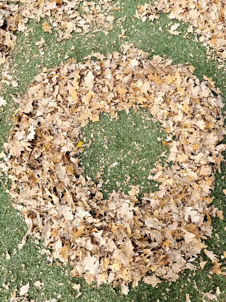 Un bouquet de feuilles jaunes et brunes d'automne sur un gazon artificiel vert empilées comme un beignet — Photo