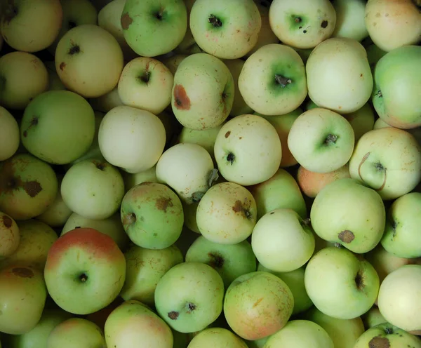 Green apples. Apples Background of green apples close up. Green apples pattern on sale at the market.