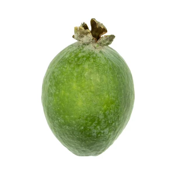 Frutos Feijoa Verde Aislados Sobre Fondo Blanco Nombre Científico Acca —  Fotos de Stock