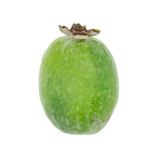 Frutti Feijoa Verdi Isolati Sfondo Bianco Nome Scientifico Acca Sellowiana — Foto Stock