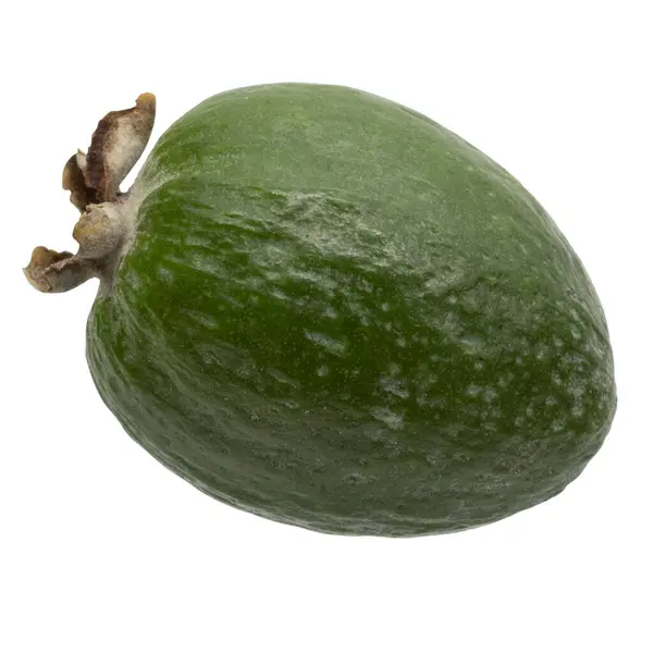 Groene Feijoa Vruchten Geïsoleerd Witte Achtergrond Wetenschappelijke Naam Acca Sellowiana — Stockfoto