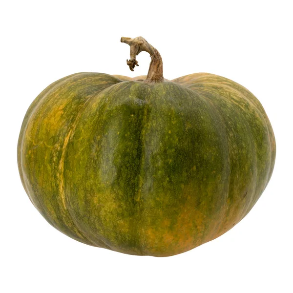 Calabaza Amarilla Verde Fresca Aislada Sobre Fondo Blanco Otoño — Foto de Stock