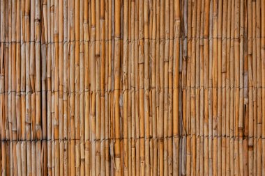 Bambu veya kamış saman soyut arkaplan